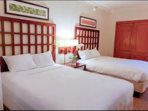 Comfort Studio Suite,1271570518:JPEG