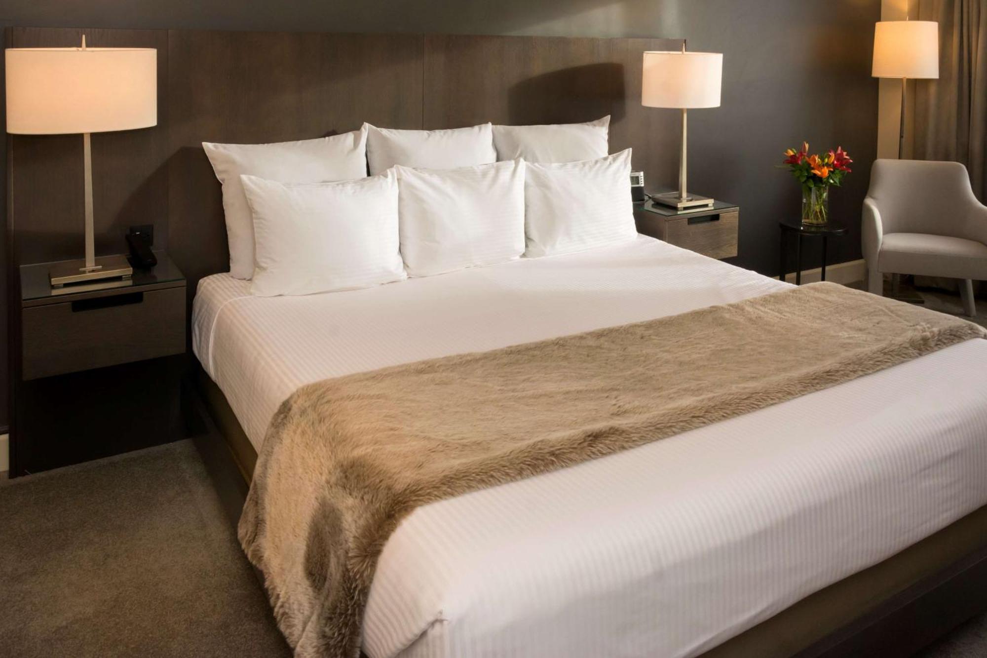 King Bed City View,1275831331:JPEG