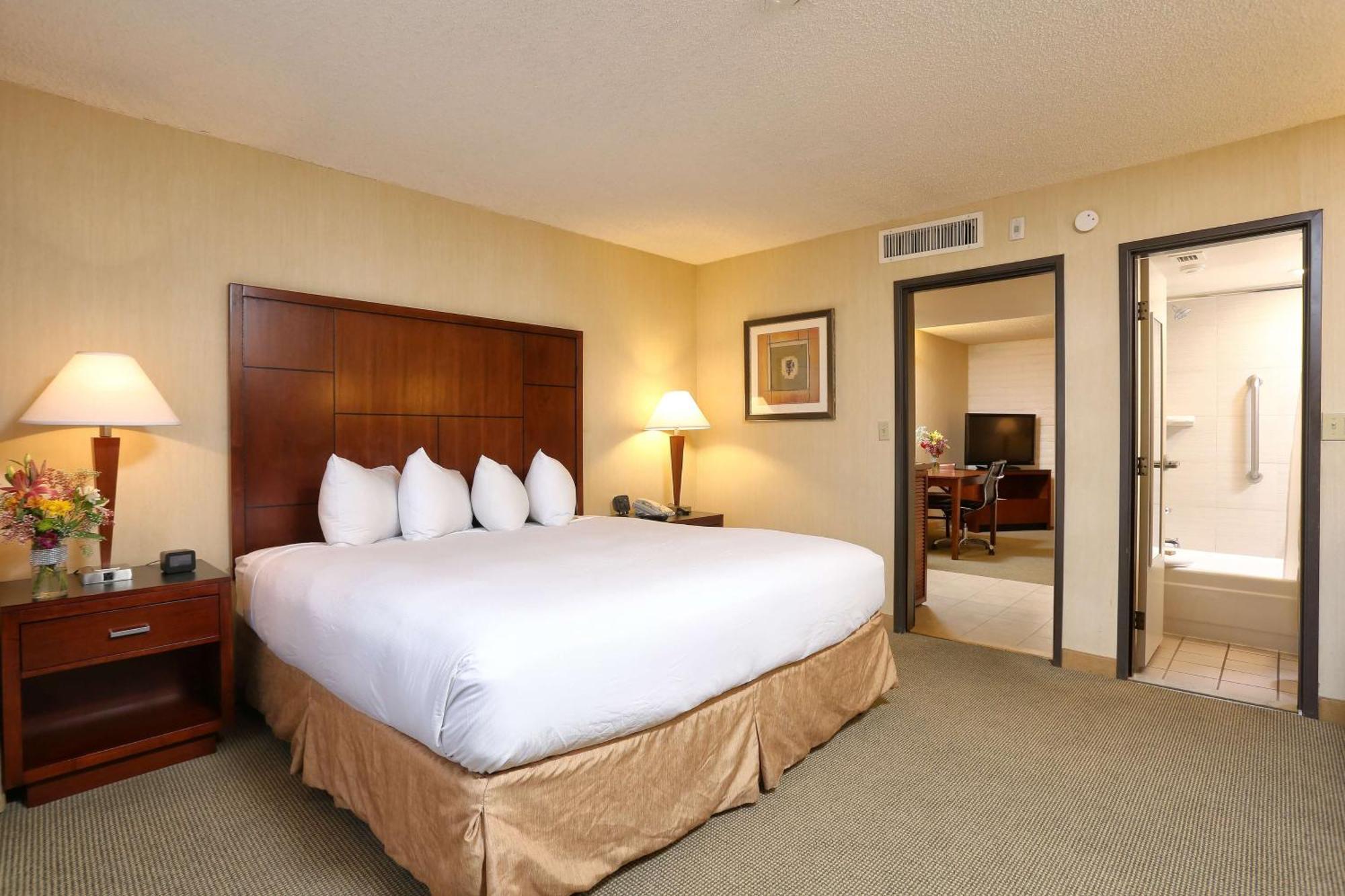 One-Bedroom King Suite with Sofa Bed - Non-Smoking