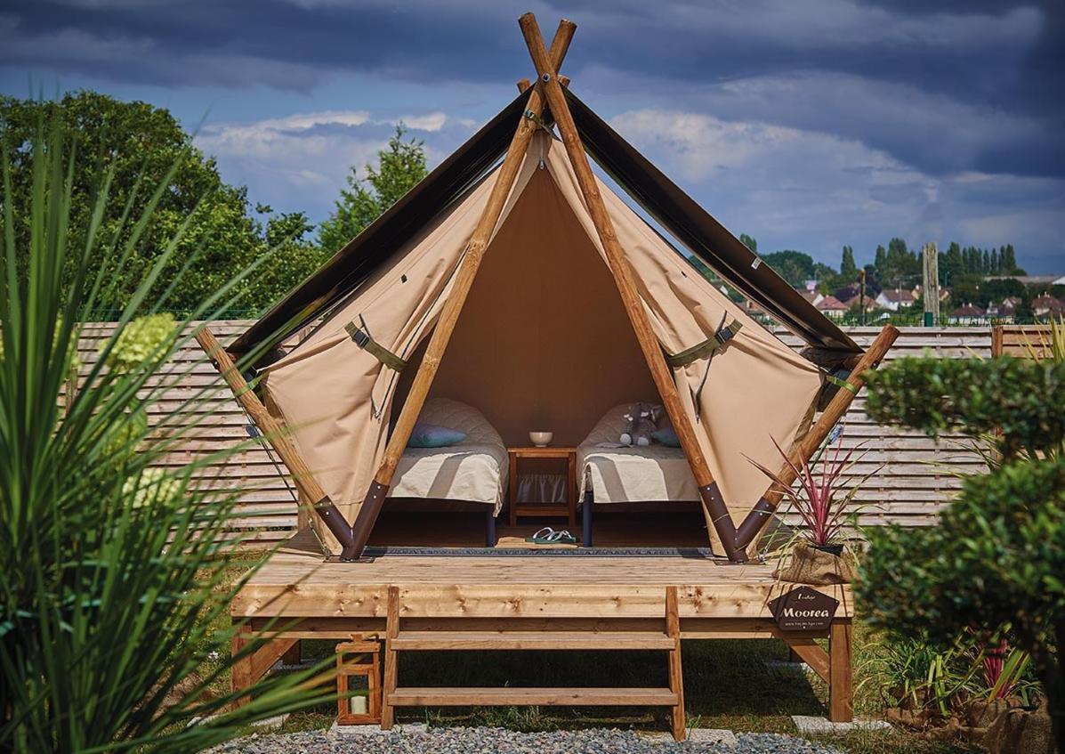 Tent,1293085978:JPEG