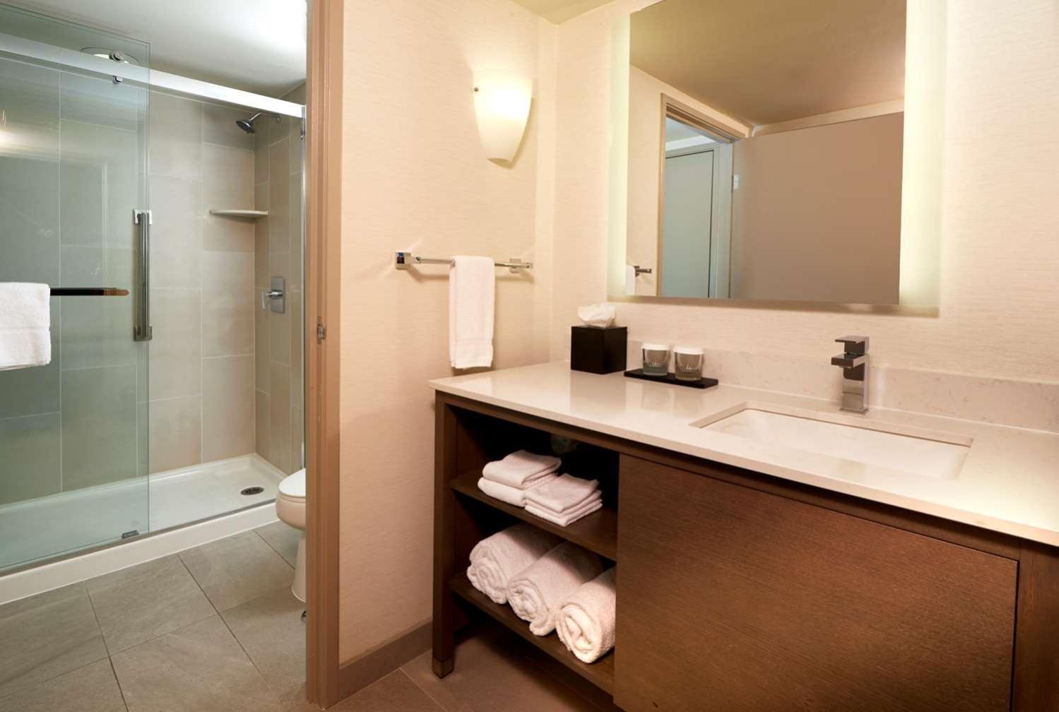 One-Bedroom King Suite with Roll-In Shower - Mobility Access/Non-Smoking