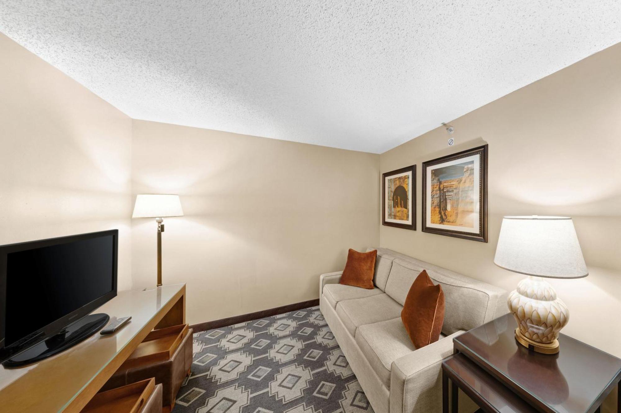 Executive King Room Sofa Bed