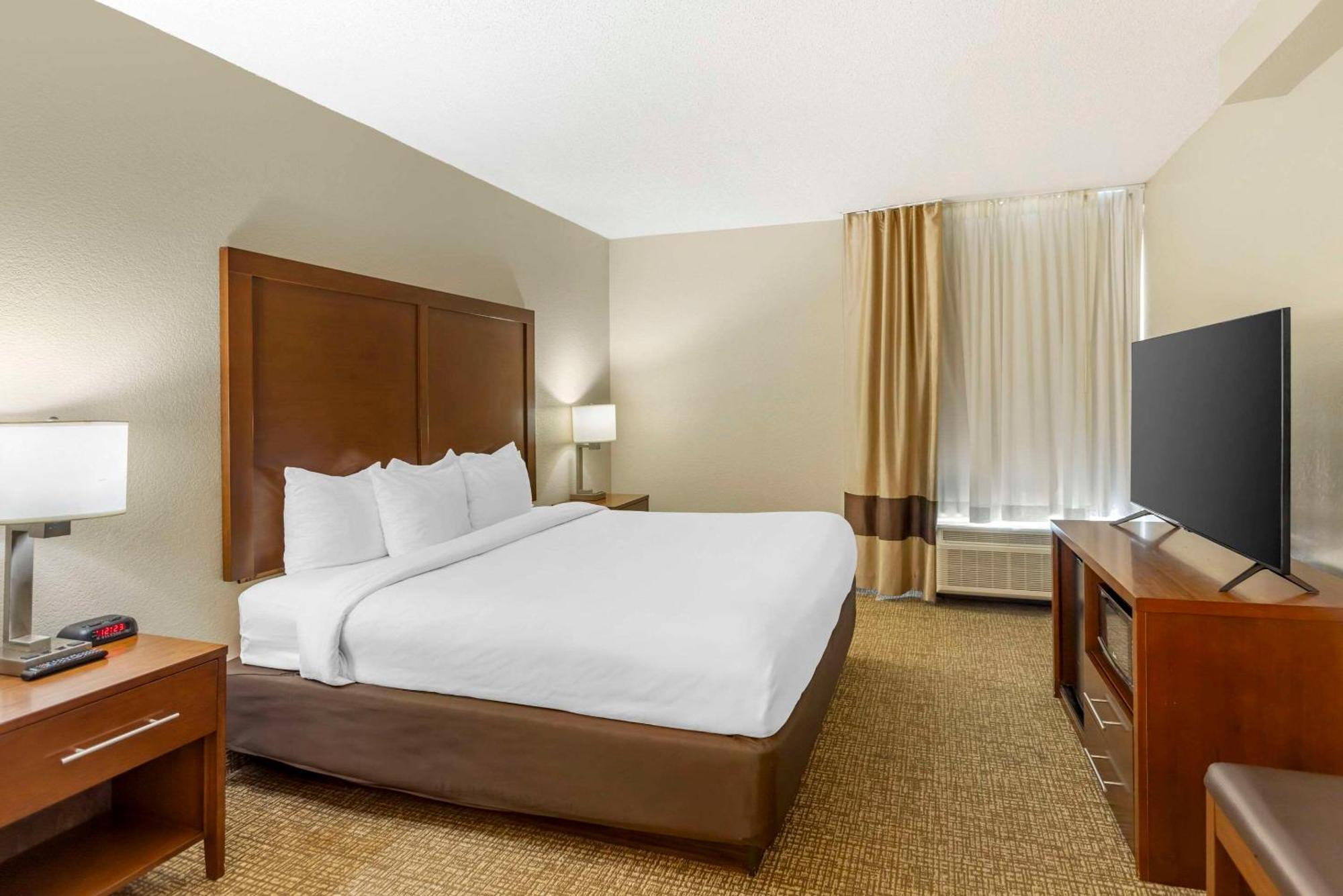 King Suite with Sofa Bed - Non-Smoking