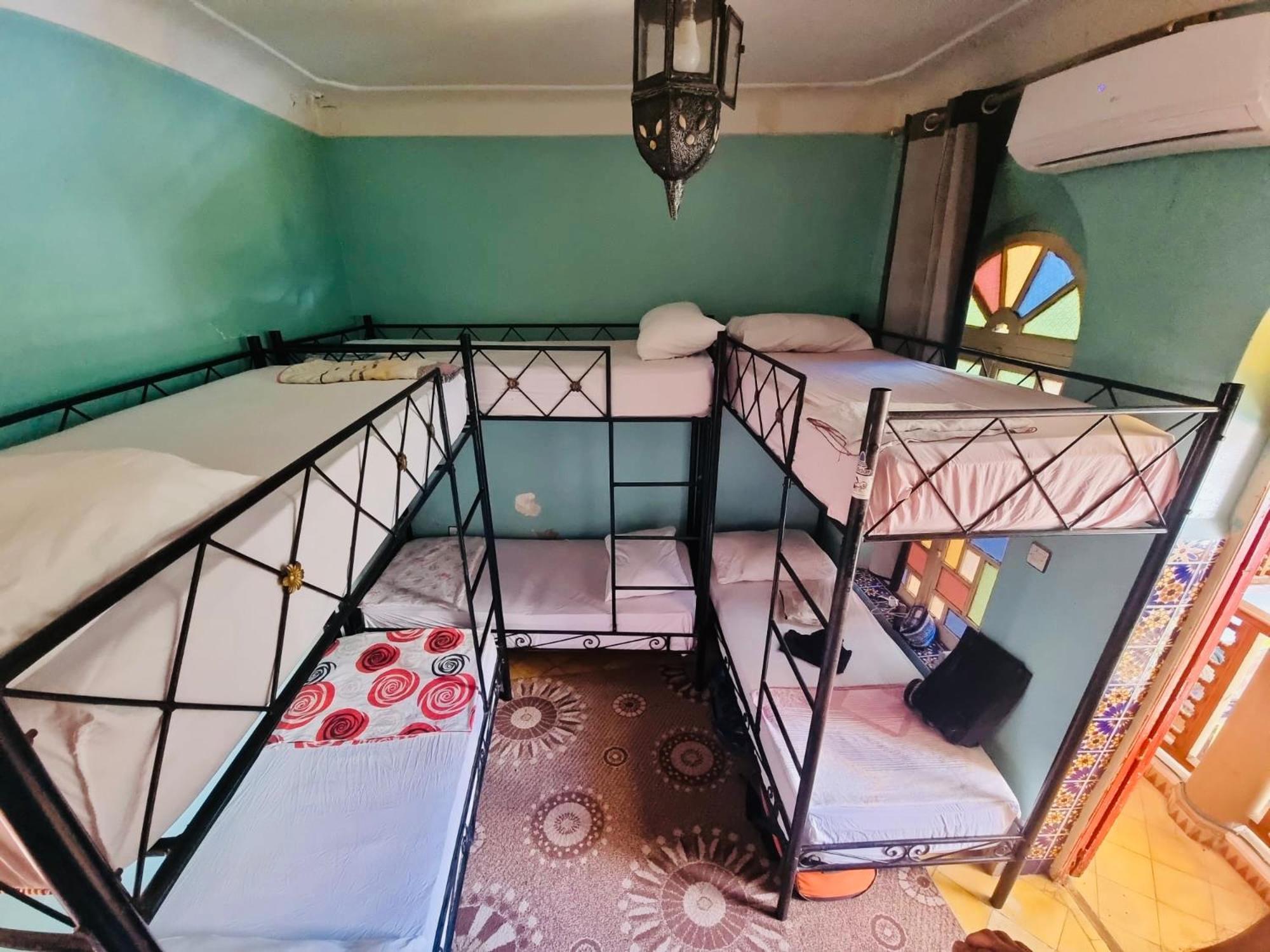 Bunk Bed Mixed Dormitory Room