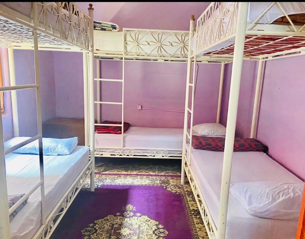 Bunk Bed Mixed Dormitory Room
