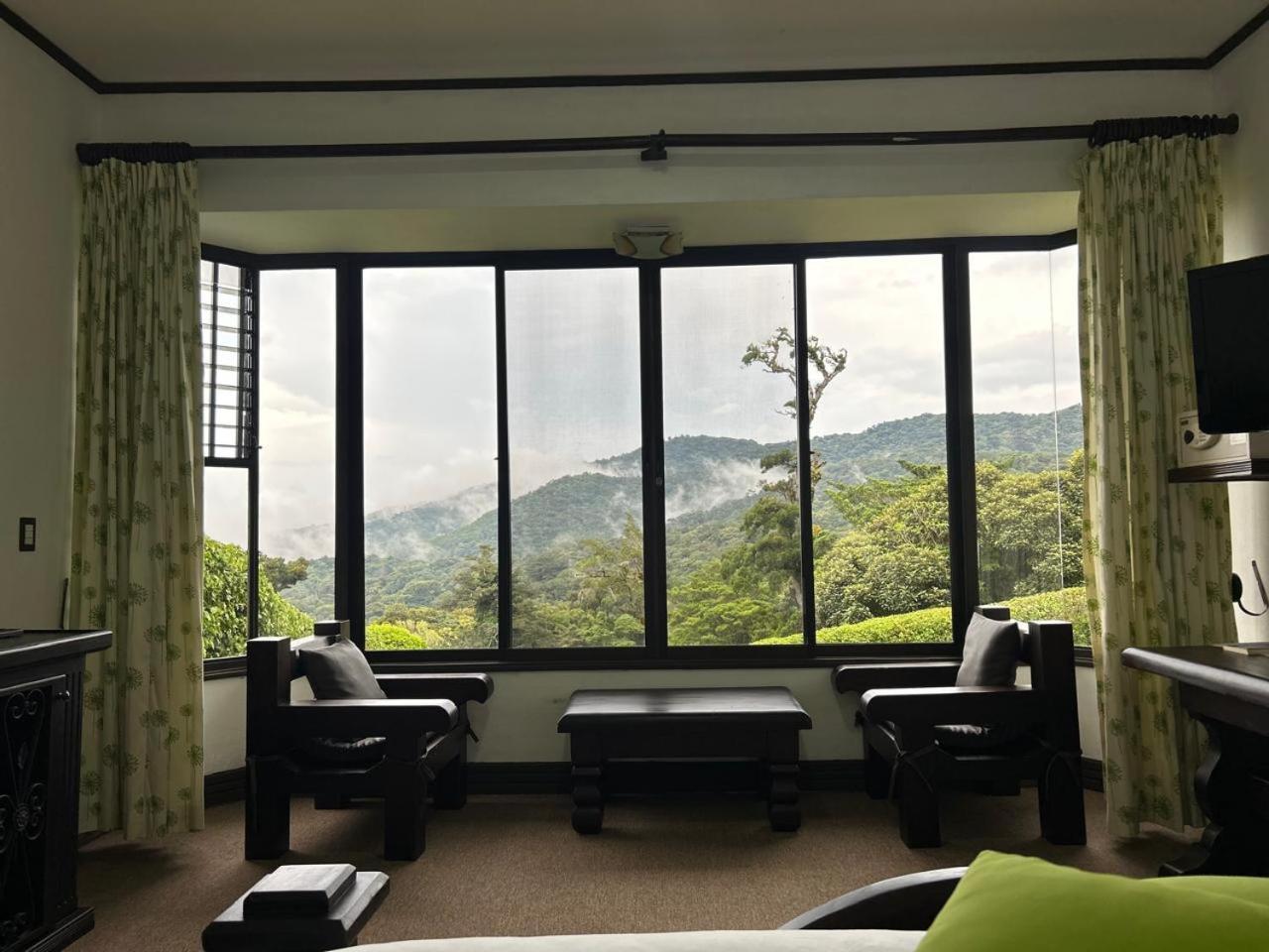 Suite Mountain View