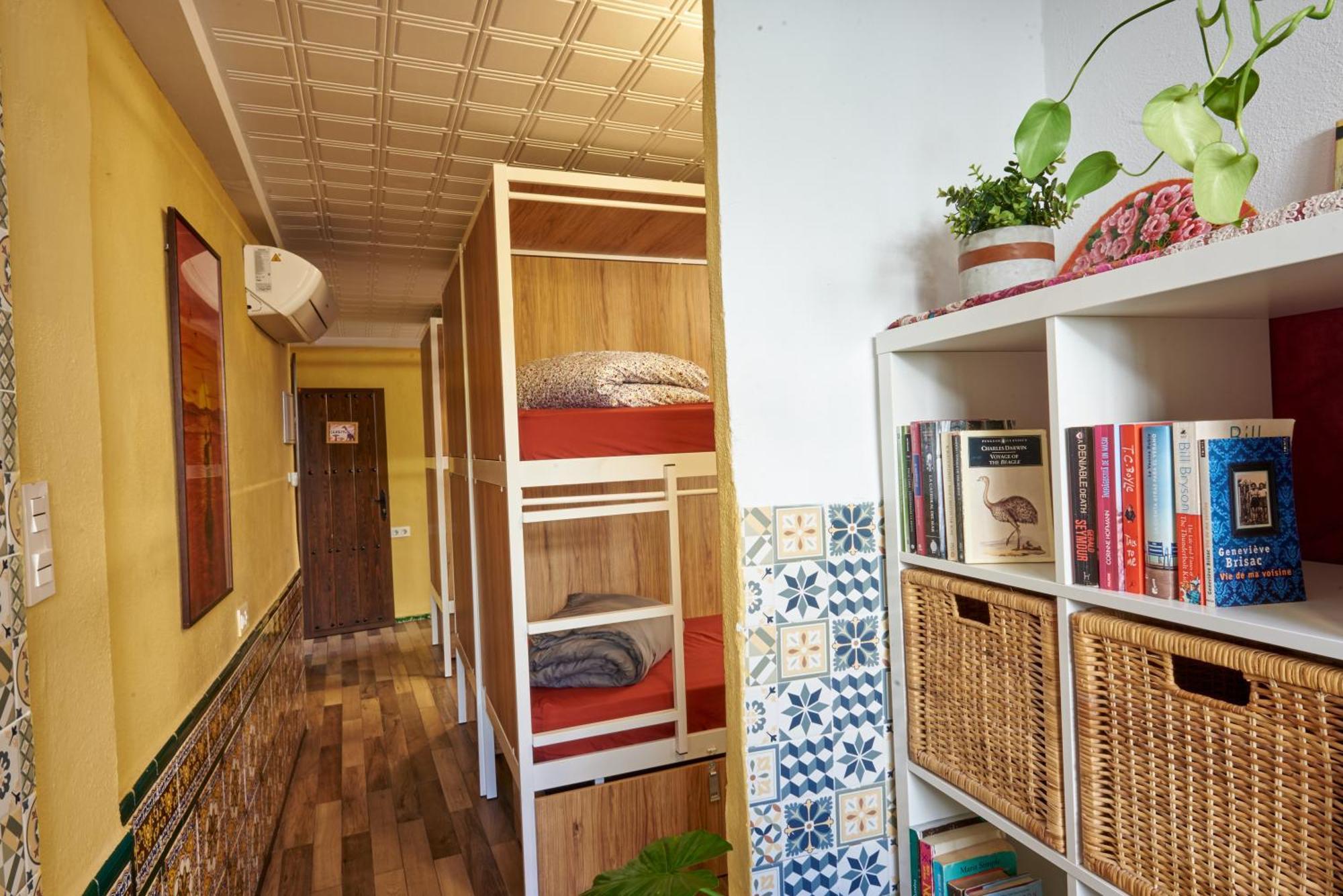 Bed 6-Bed Female Dormitory Room