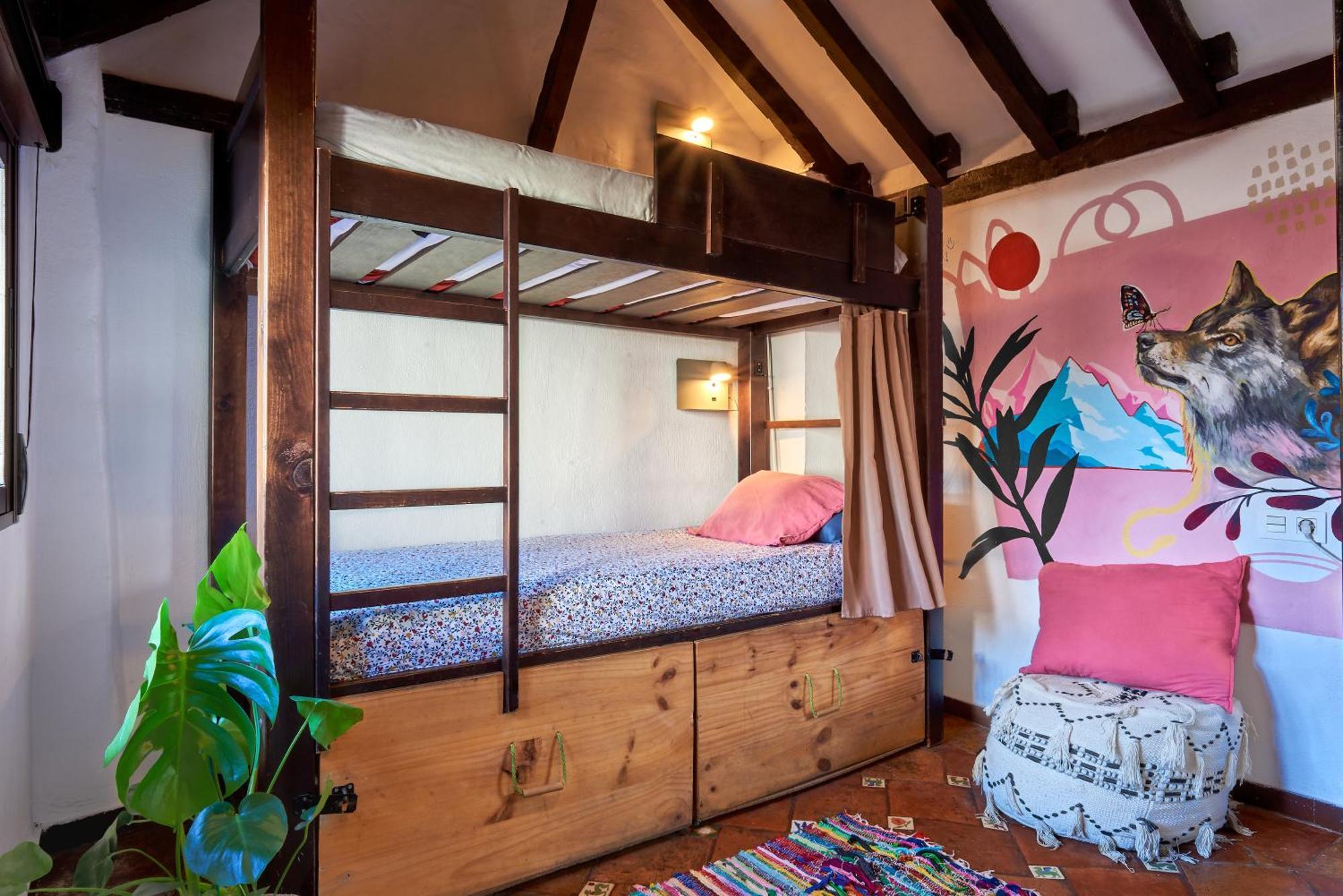 Bed 4-Bed Mixed Dormitory Room