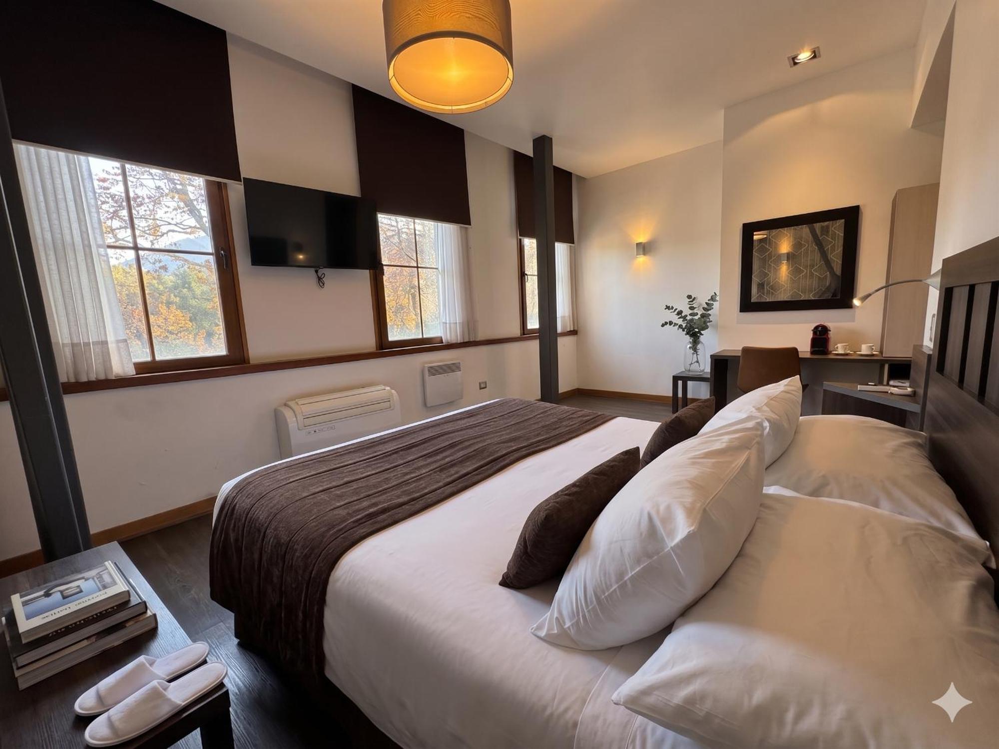Superior Double Room Park View