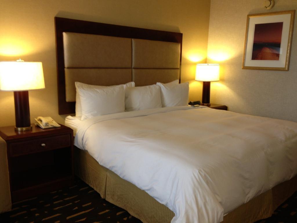 Kamer met Kingsize Bed - Rookvrij