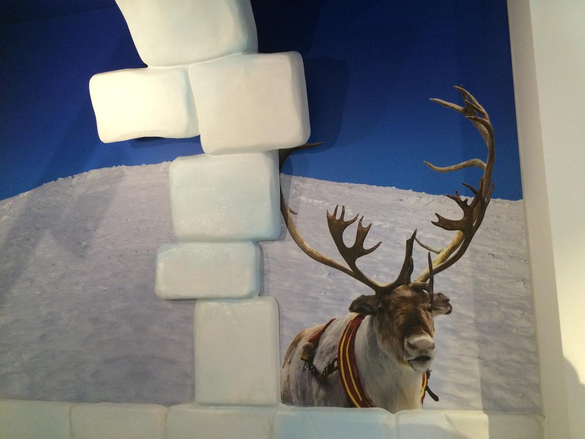 Arctic Standard Room