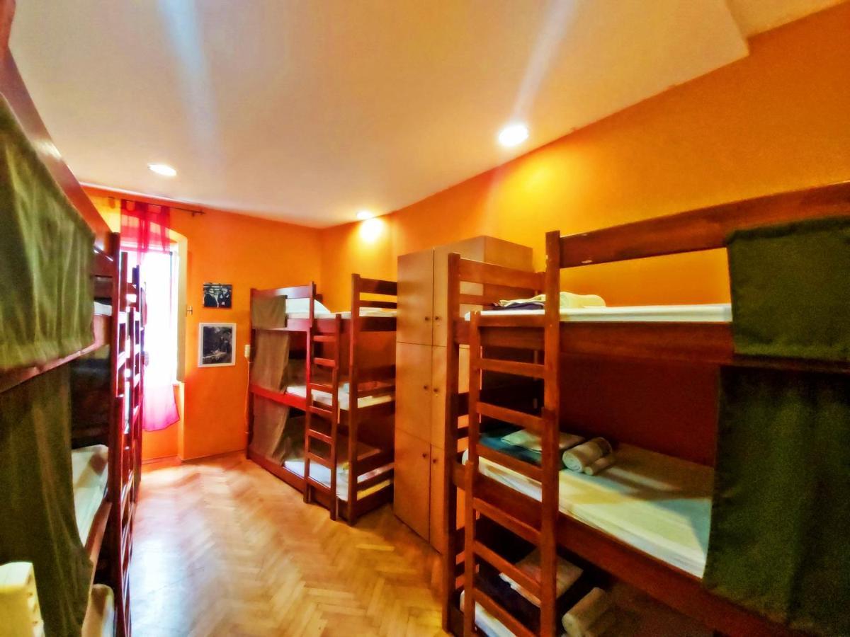 Bunk Bed Mixed Dormitory Room