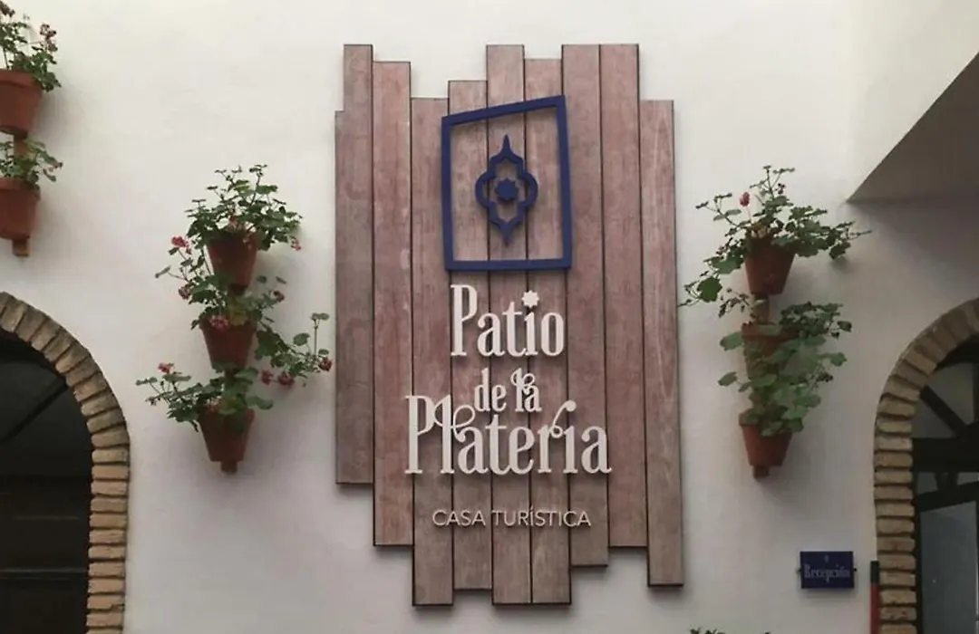 Patio de la Plateria-1