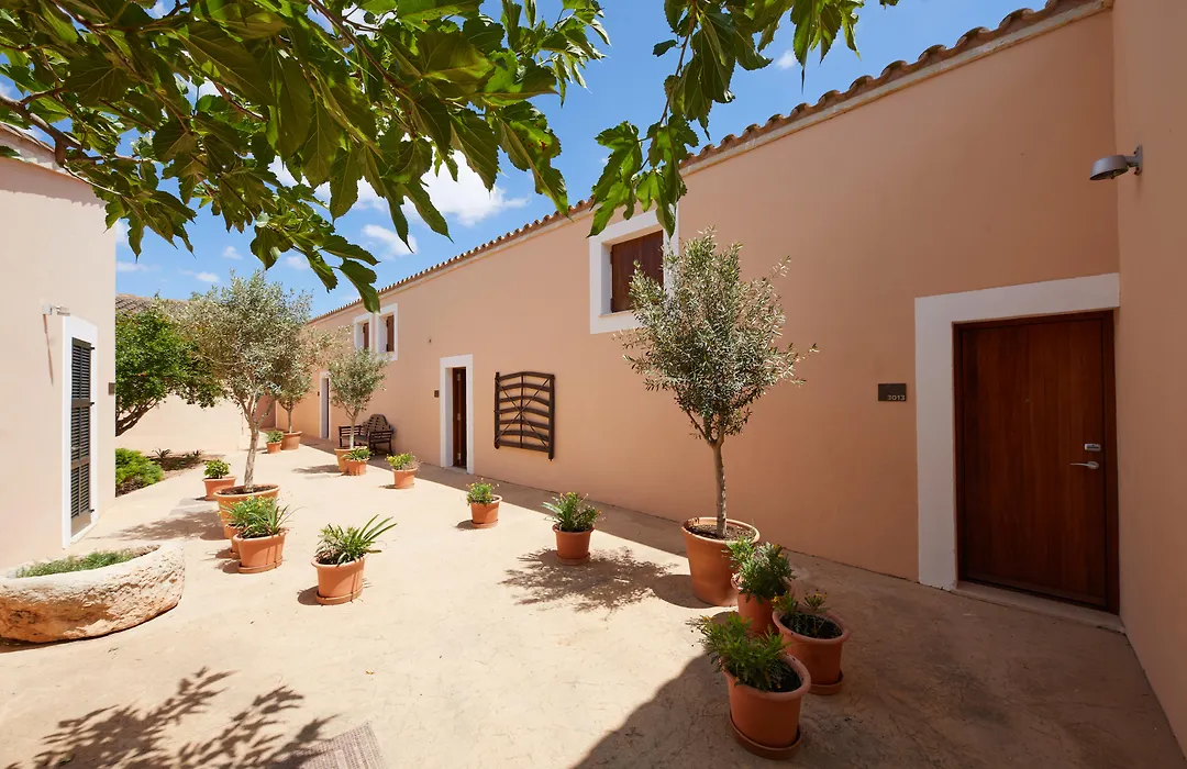 Zoetry Mallorca Wellness & Spa - Hyatt Inclusive Collection (Adults Only)-1
