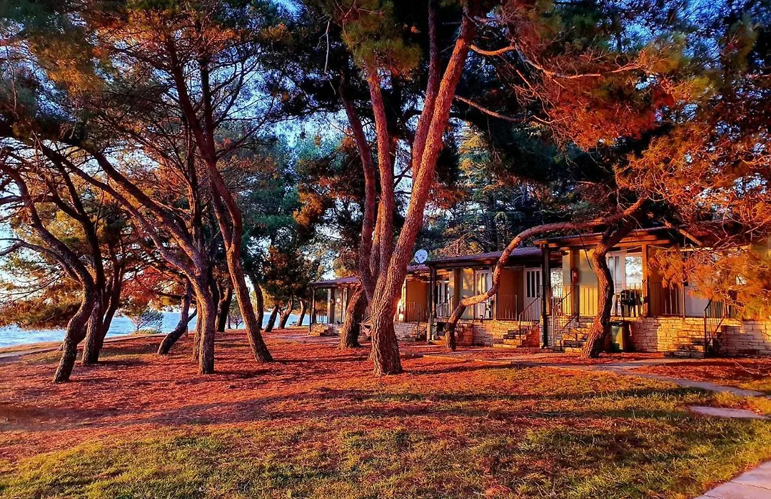 Family Bungalow Pineta-1