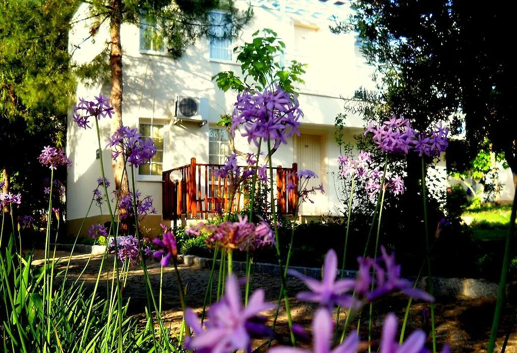 Teos Village-1
