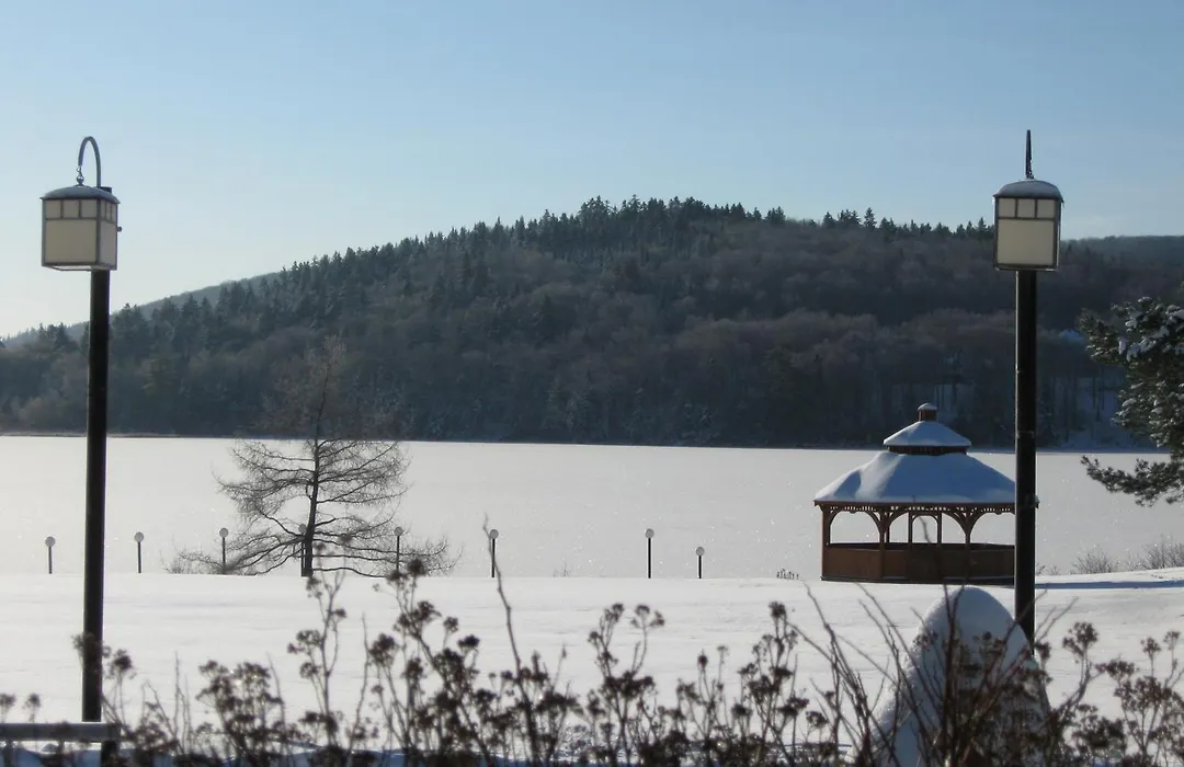 Le Manoir Du Lac DeLage-1