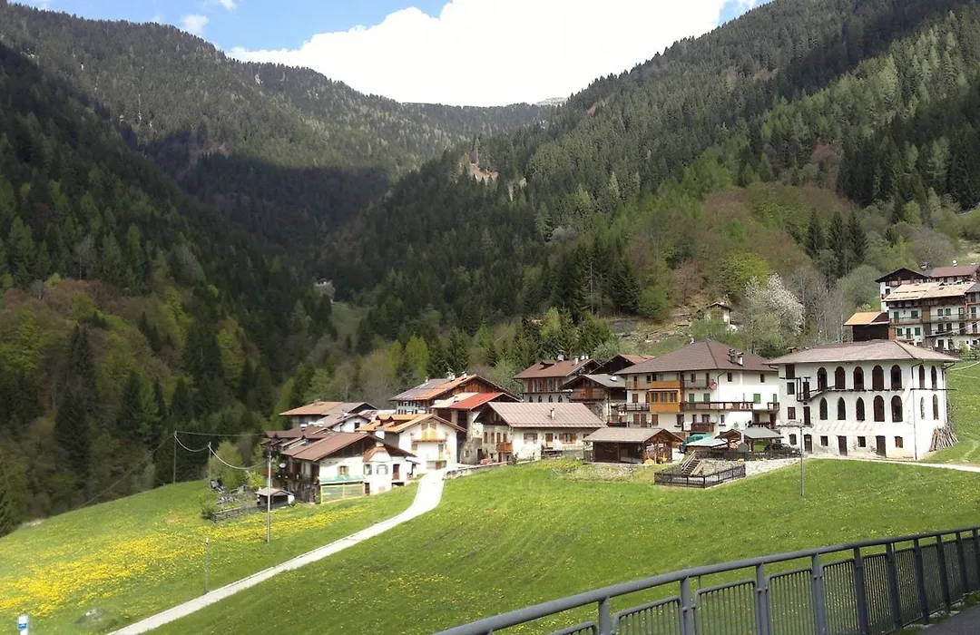 Hotel Serenella-1