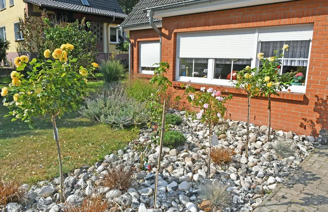 Pension mit Fruehstueck im Ostseebad-1