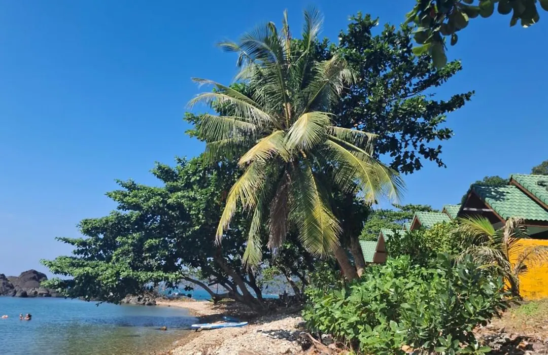 Paradise Palms-1
