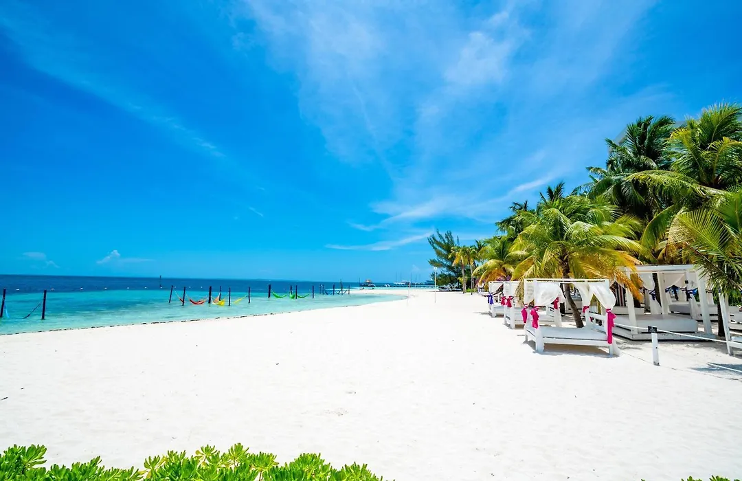 Oh! Cancun - The Urban Oasis & Beach Club (Adults Only)-1