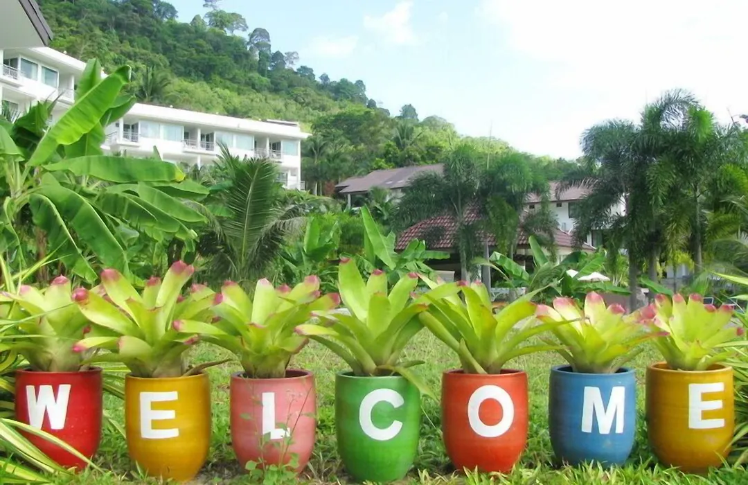 Ps Hill Resort Phuket Patong - Sha Plus-1