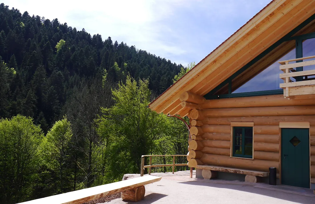 Hotel Therme Bad Teinach-1