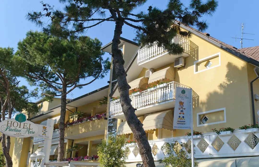 Pinetina Mare Baby Family Hotel-1