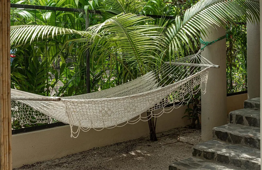 Boutique Surf Hotel Rip Jack Inn-1