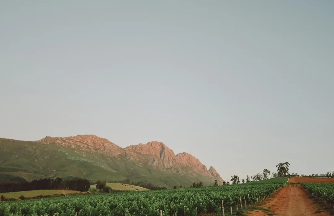 Muratie Wine Estate-1