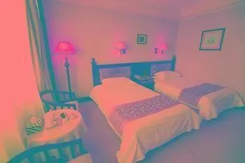 Zhong Du Business Hotel-1