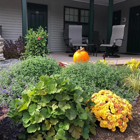 Island Place-2