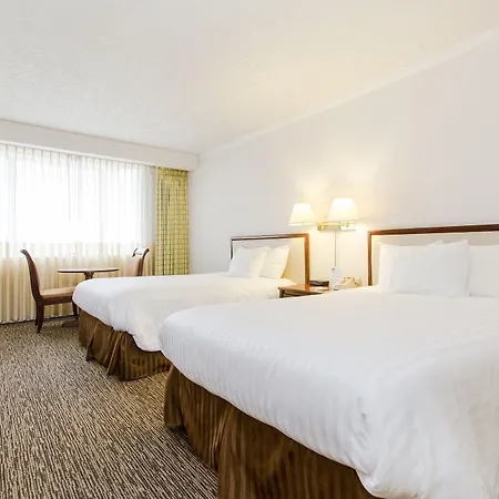 Jj Grand Hotel-3