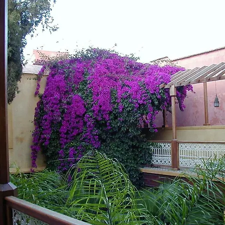 Riyad Al Moussika-3