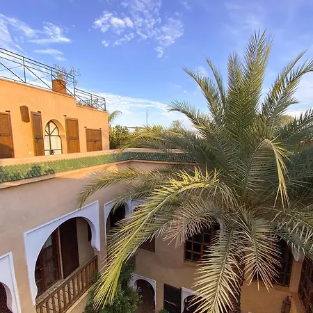 Riad Selouane-3