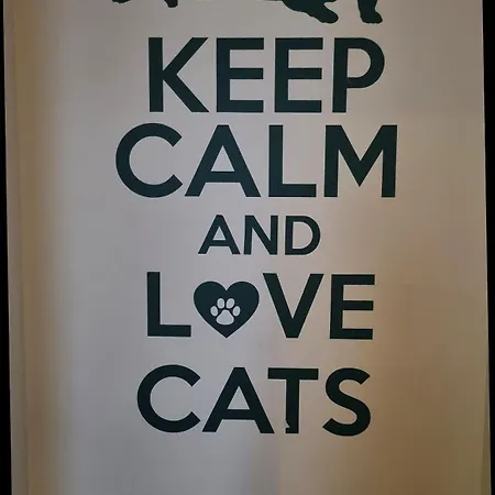 Green Cat Rooms-3