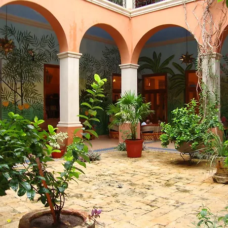 Hotel Boutique Casa San Angel (Adults Only)-3