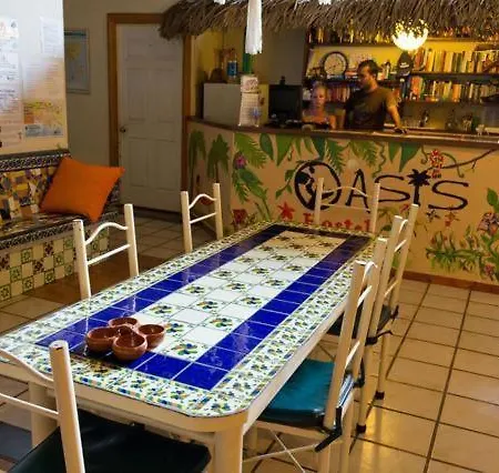 Oasis Hostel-3