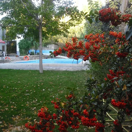 Camping Alpujarras-2