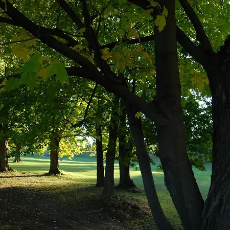 Kings Inn Orillia-3