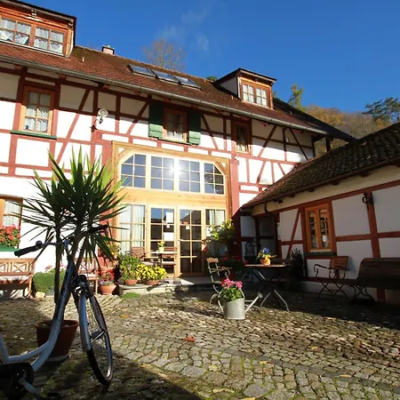 Gästehaus Pfefferle Hotel garni und Ferienwohnungen-2