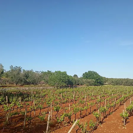 Masseria Le Betulle-3