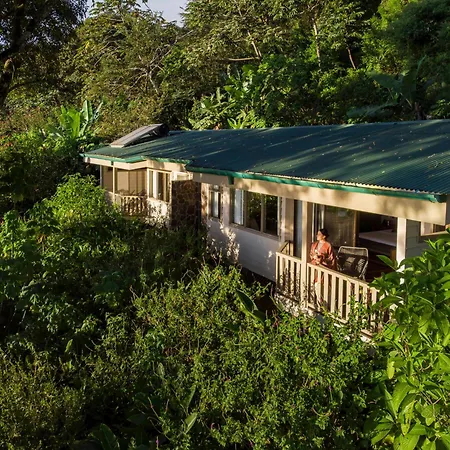 Senda Monteverde Hotel Member Of The Cayuga Collection-2