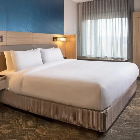 Springhill Suites By Marriott Frederick-2