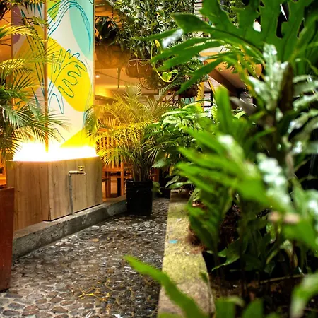 Hotel Natural Medellin-3