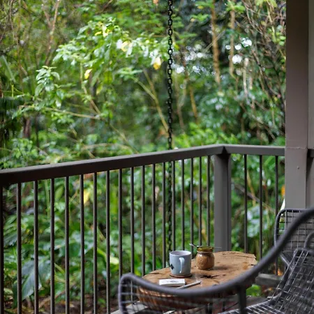 Senda Monteverde Hotel Member Of The Cayuga Collection-3