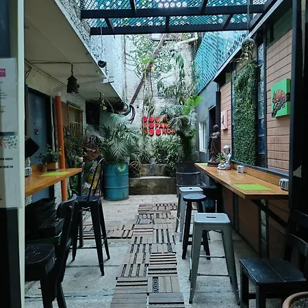 Canela Hostel Medellin-3