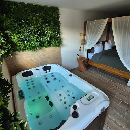Le Cocoon - Jacuzzi, Sauna et Piscine privée-2