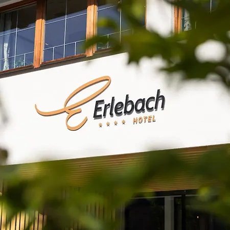 Hotel Erlebach 4-3