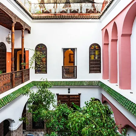 Riad Taghia-3